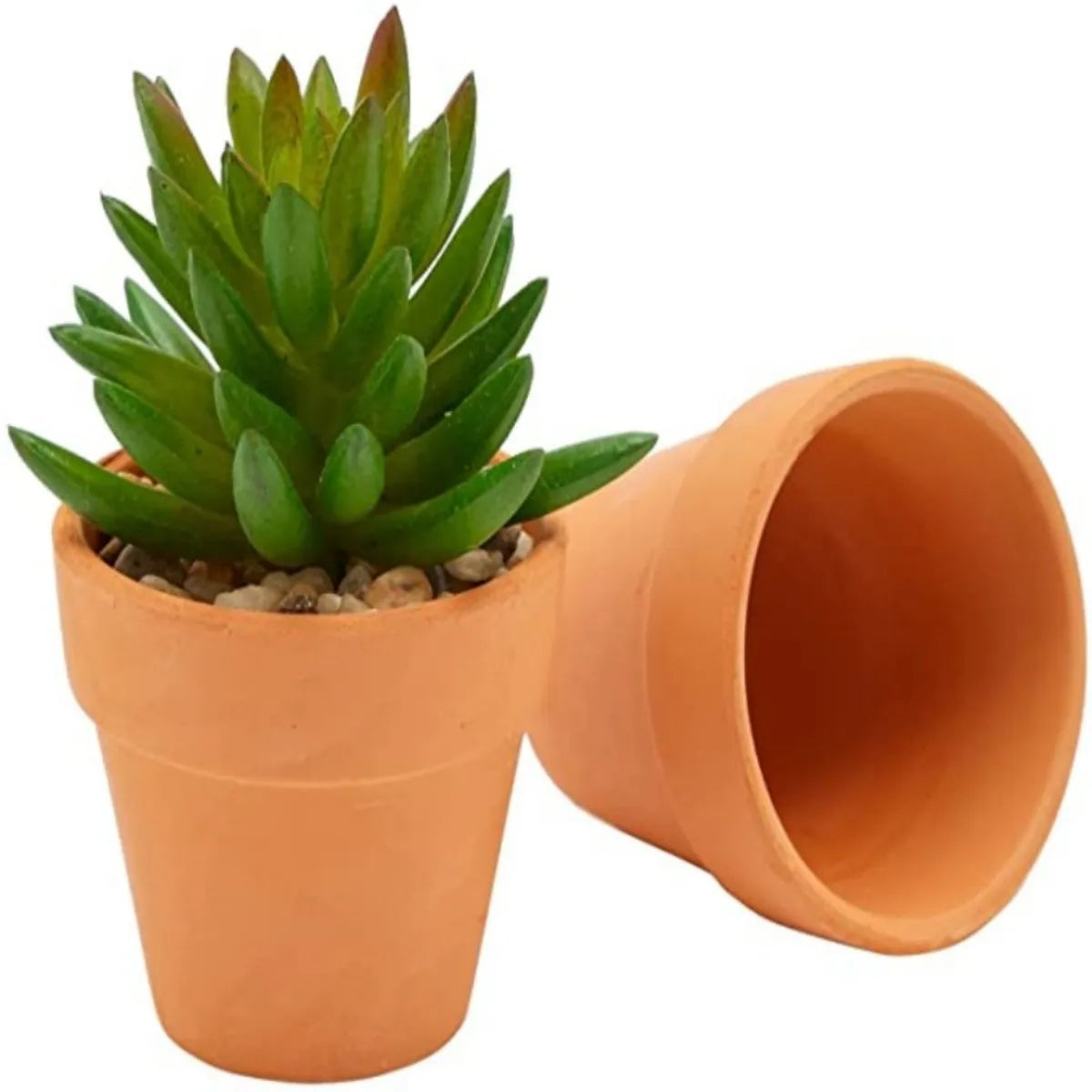 pots terre cuite pots fleurs cactus succulents drainage classique jardinage outils orangerie bacs pépinière