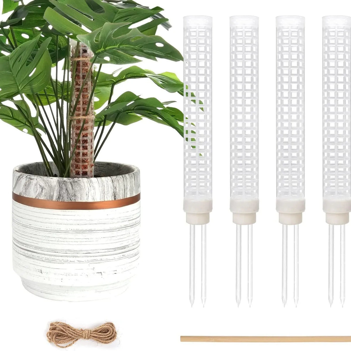 supports plantes pliants adhésifs cordelettes piquets blancs verts modernes intérieur
