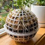 paniers suspendus blancs réticulés modernes rechargeables intérieur extérieur decoration plantes chaine opaque