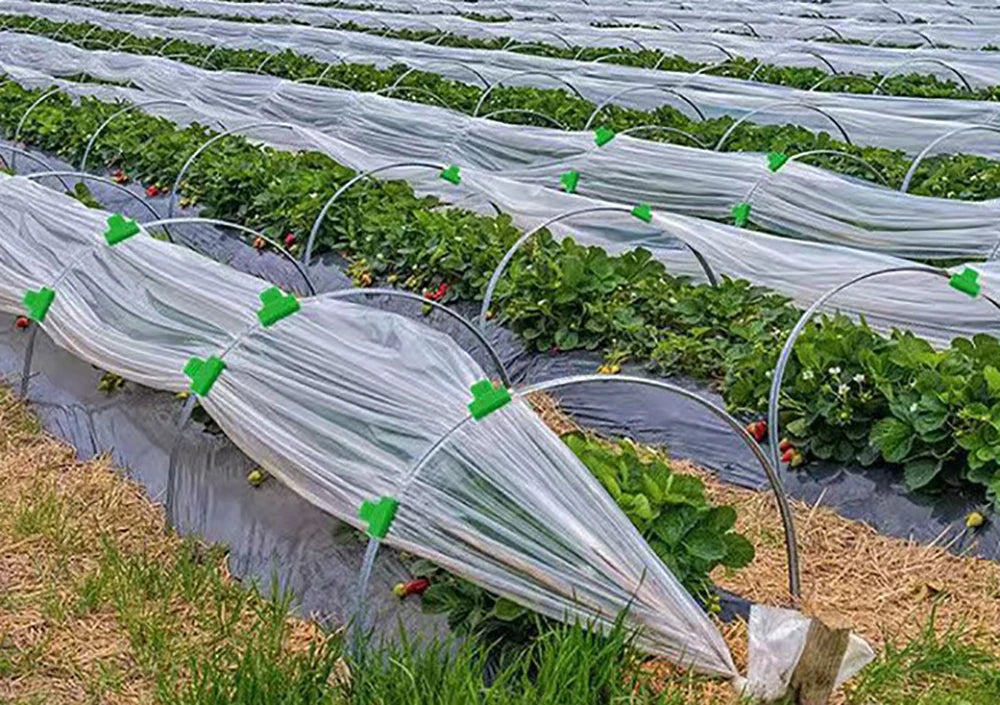 pinces protection plantes vertes transparentes maille fine clips pratiques agricoles serre jardins support filtre