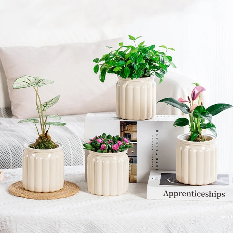 pots plante hydroponique transparent gris moderne minimaliste ridges verticales terre graines