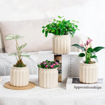 pots plante hydroponique transparent gris moderne minimaliste ridges verticales terre graines