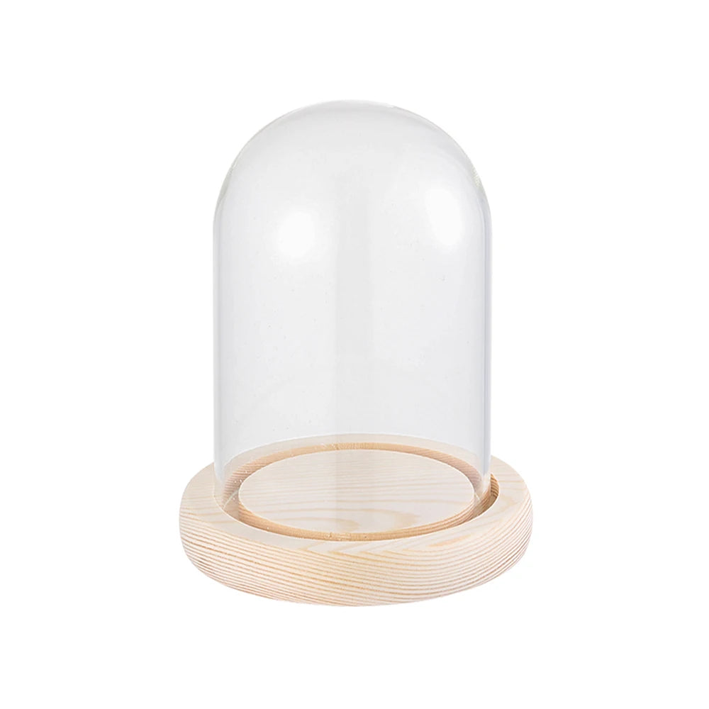 cloche verre transparent moderne base bois naturel boîte rangement fleurs minimalistes différentes tailles