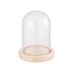 cloche verre transparent moderne base bois naturel boîte rangement fleurs minimalistes différentes tailles