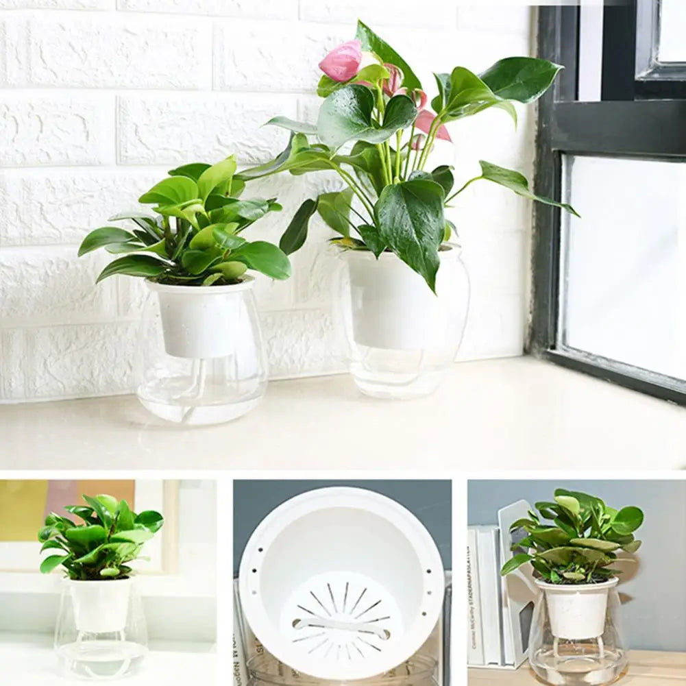 Cache-pot transparent avec plante d'intérieur