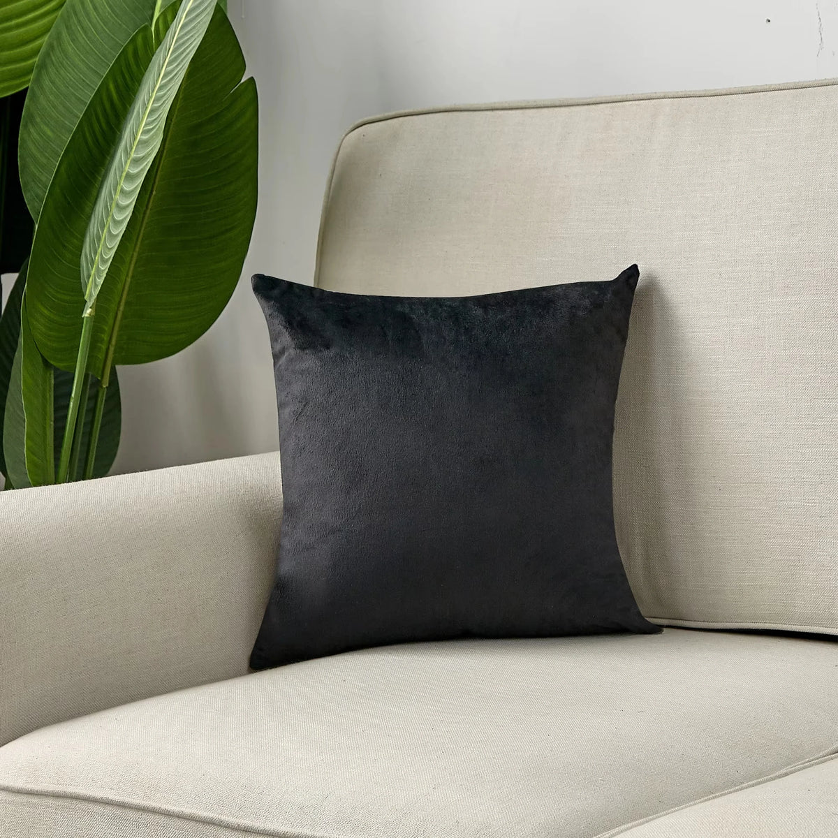 coussin décoratif velours noir moderne élégant salon fauteuil livres textiles polyester imprimé