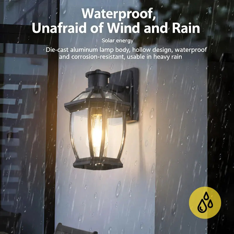 lampe murale extérieure hydrofuge bronze noir verre transparent classique fixations lumière led