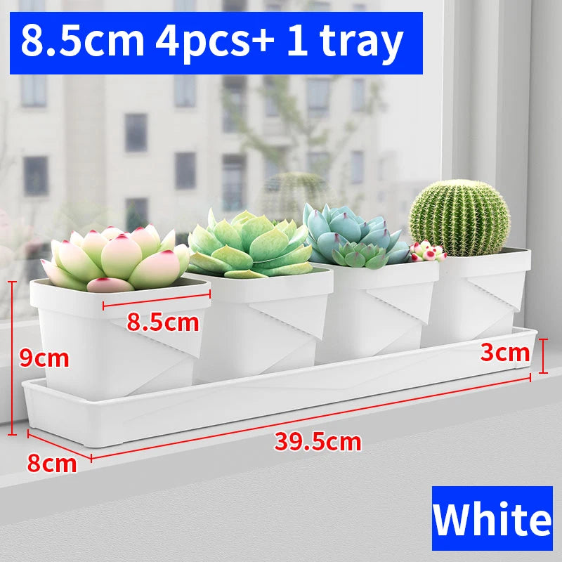 petit pot fleurs blanc plastique moderne cactus succulentes plateau intégré