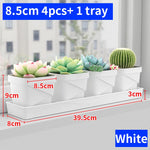 petit pot fleurs blanc plastique moderne cactus succulentes plateau intégré