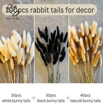 décoration maison queue lapin séchée blanc noir naturel boho anniversaire baby shower