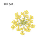 fleurs séchées pressées coque téléphone transparente arbre fleurs roses naturel artisanat bijoux 100 pièces
