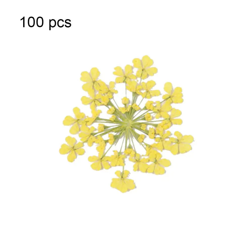 fleurs séchées pressées coque téléphone transparente arbre fleurs roses naturel artisanat bijoux 100 pièces