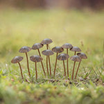 piquets decoratifs jardin metal forme champignons retro decoration exterieure printemps amusants miniatures marron gris