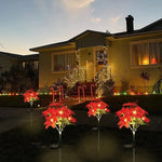 Installation de la lumière poinsettia solaire sur une pelouse enneigée