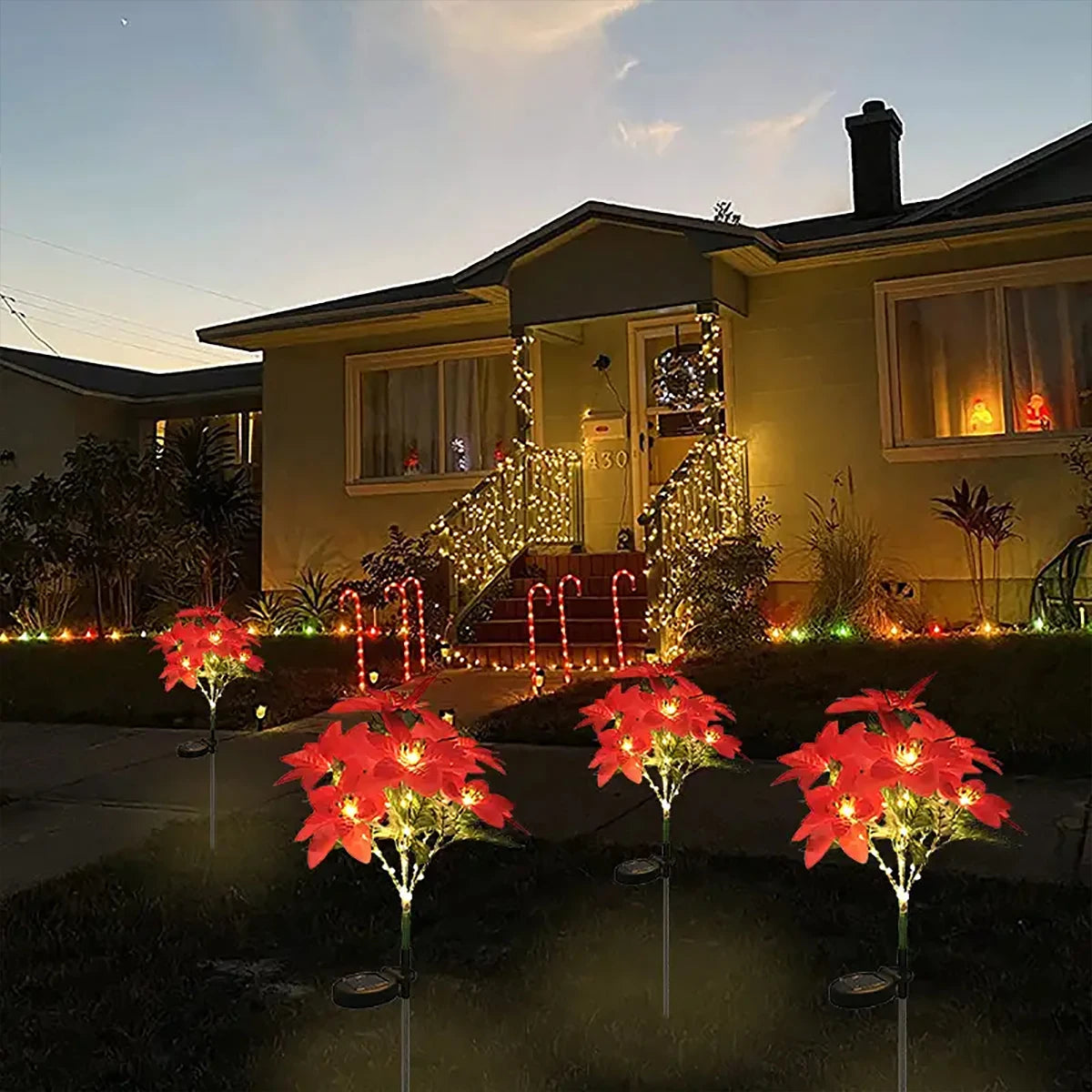 Installation de la lumière poinsettia solaire sur une pelouse enneigée