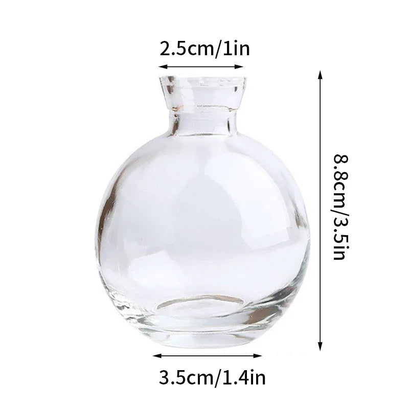 vase verre transparent moderne rose décoration intérieur hydroponique fleuri table studio
