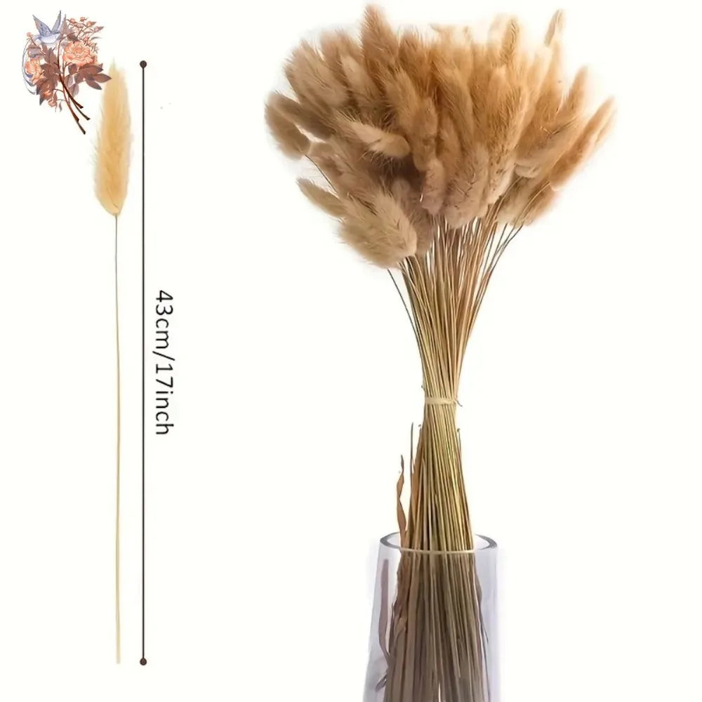 bouquet fleurs séchées plumes fines décoration intérieure mariage anniversaire rustique beigeclair naturel driedflowers