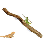 décoration naturelle branche bois marron clair antidérapante reptile habitat bearded dragon serpent