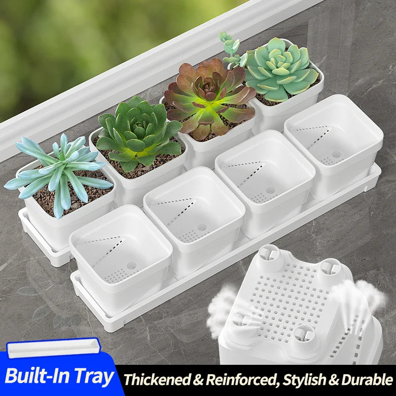 petit pot fleurs blanc plastique moderne cactus succulentes plateau intégré