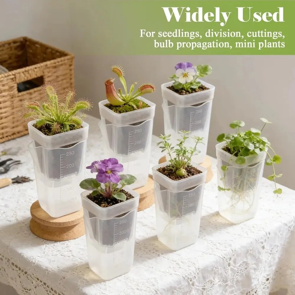 pots auto arrosants transparents modernes 5cm 5cm 8cm 12 unités 12 cotonnets