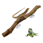 décoration naturelle branche bois marron clair antidérapante reptile habitat bearded dragon serpent