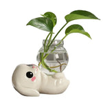 cache pot verre transparent base céramique panda lapin feuilles moderne intérieur blanc noir vert
