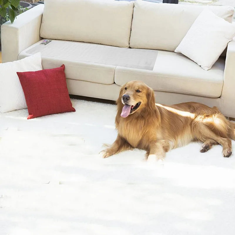 tapis d'entraînement chien adhésif led blanc rayures horizontales moderne repulsif pvc fil cuivre