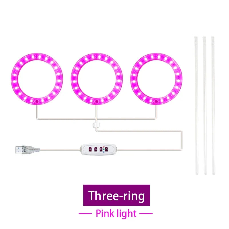 anneaux lumineux led croissance plantes intérieures blanc rose bleu rouge moderne minuterie usb rechargeable