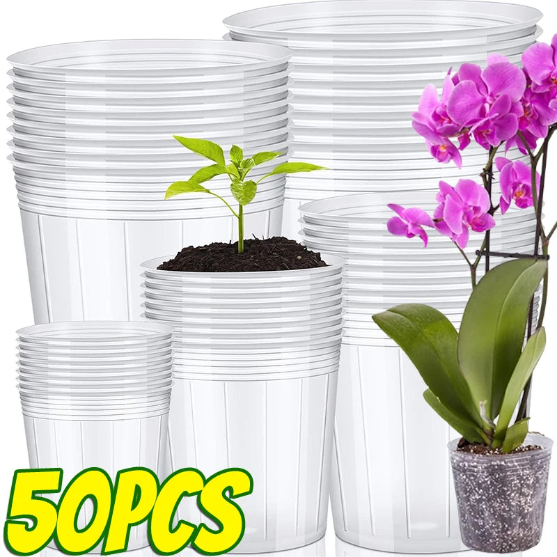 Pots fleurs transparents noirs rayures verticales moderne utilitaire adhésif terre graines semis fleurs orchidées