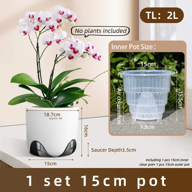 pots orchidées modernes blancs transparents 15cm 12cm 10cm aircone racines rebondissement
