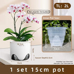 pots orchidées modernes blancs transparents 15cm 12cm 10cm aircone racines rebondissement