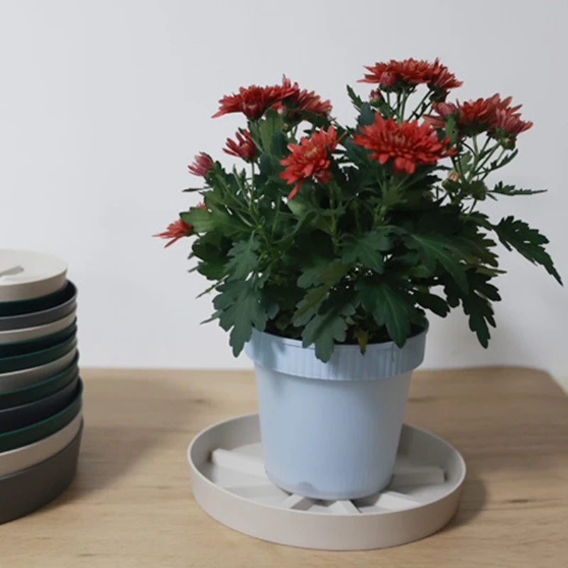 assiettes jardinage modernes plastique vert foncé gris blanc rayons opaques multifonctionnelles