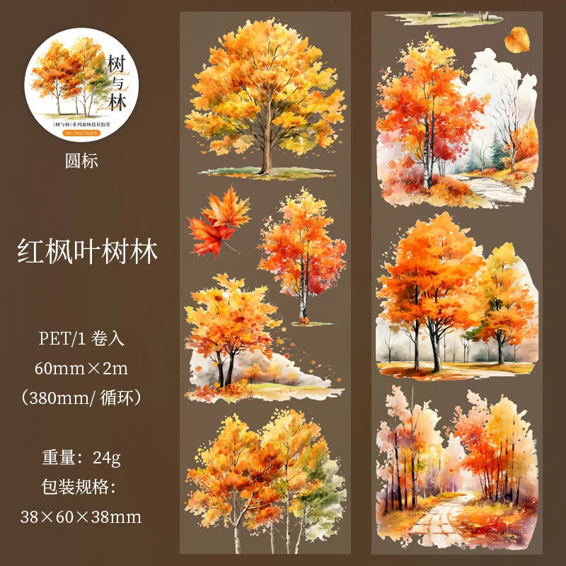 ruban decoratif transparent scènes naturelles aquarelle 60mm 2m boite rangement