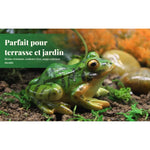 statue grenouille verte réaliste deco jardin ludique extérieure animaux decor vertesextérieur ornement