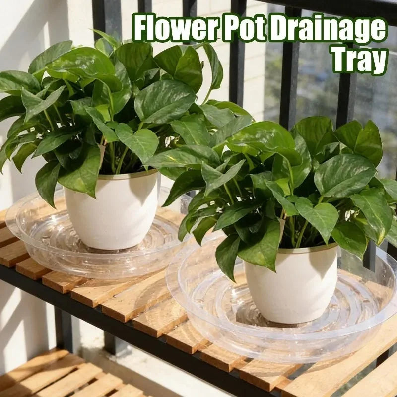 plateau drainage fleurs transparent rond gravé moderne rangement déchets maison jardin