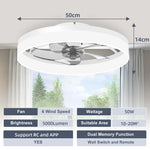 ventilateur led moderne noir blanc pales télécommande vitesses lumens 5000