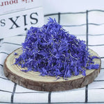 fleurs séchées violettes bleues décoration intérieure mariage anniversaire baby shower finement découpées naturelles