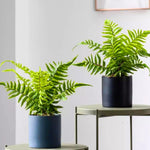 plantes artificielles feuilles fines vertes brunes modernes accrochables extérieures decoration murale naturelle