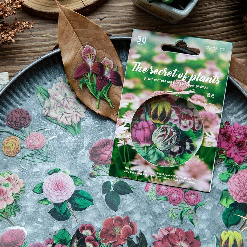 sticker botanique vintage scrapbooking fleurs plantes illustrations portraits féminins typographie ancienne 8cm 12cm stickers