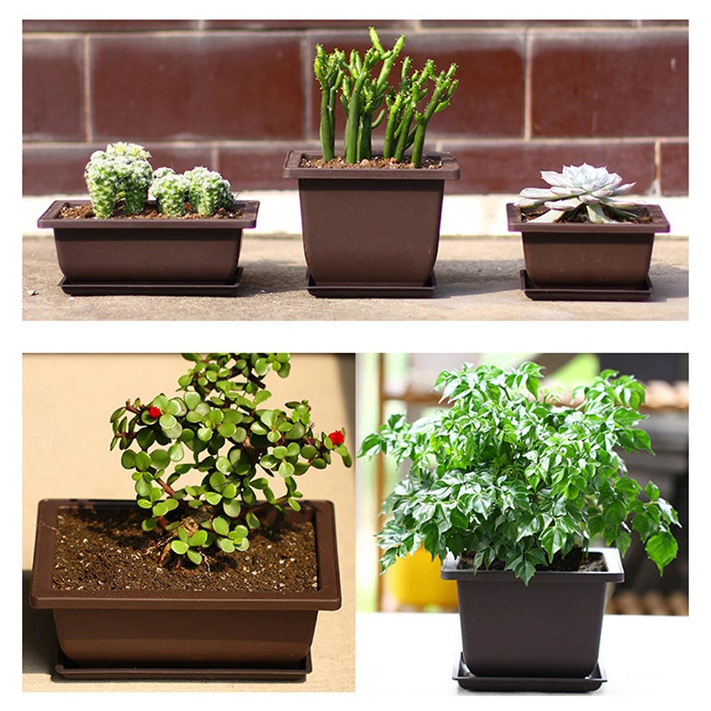 pot plantes rectangulaire moderne marron foncé grille drainage support base plastique
