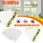 pièges mouches adhésifs fruits blanc guide utilisation pièces insectes fenêtres maison jardin simples