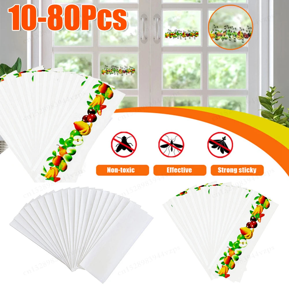 pièges mouches adhésifs fruits blanc guide utilisation pièces insectes fenêtres maison jardin simples