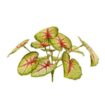plante artificielle décorative feuilles vertes blanches rouges salon maison moderne naturel