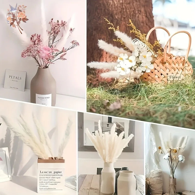 plumes pampas séchées blanches décorations fleurs naturelles rustiques mariage maison intérieur bouquet