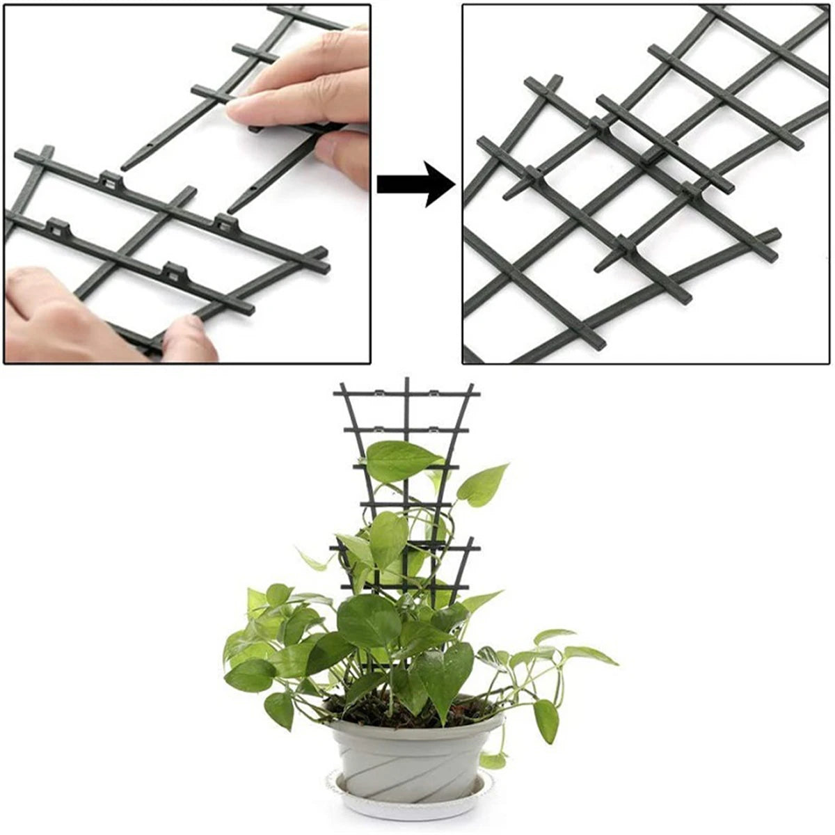 support plante feuilles stylisées moderne vert adhésif balcon jardin pot fleur fixe croissance optimale