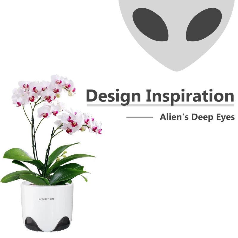 pots orchidées modernes blancs transparents 15cm 12cm 10cm aircone racines rebondissement