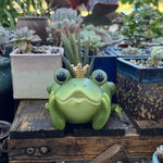 jardinière grenouille couronne vert doré plant succulent pot résine patio décoration fantaisiste