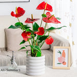 pots fleurs intérieures blancs moderne rayures horizontales plastique jardinerie légumes