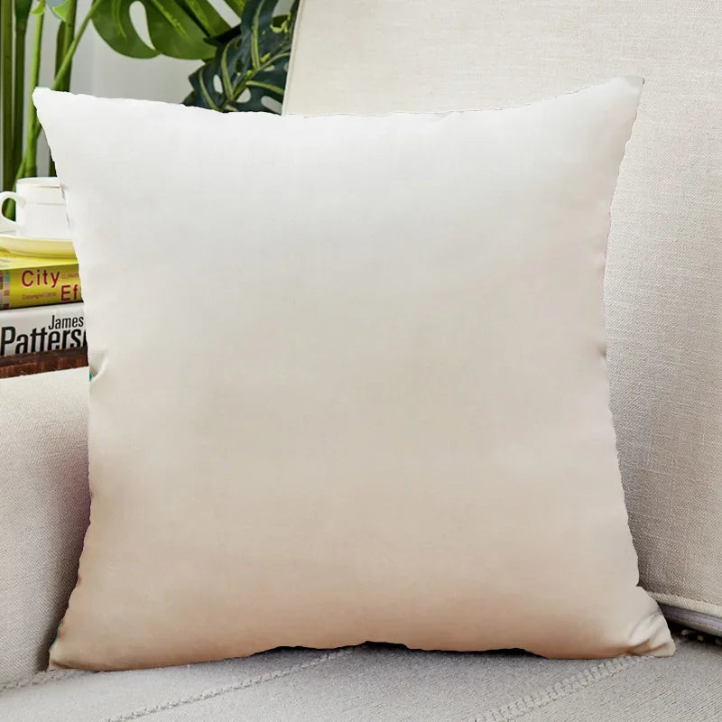 housse coussin carrée velours uni canapé salon décoration maison moderne