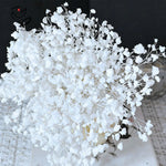 bouquet fleurs séchées blanches décoration intérieure moderne vase transparent anniversaire mariage